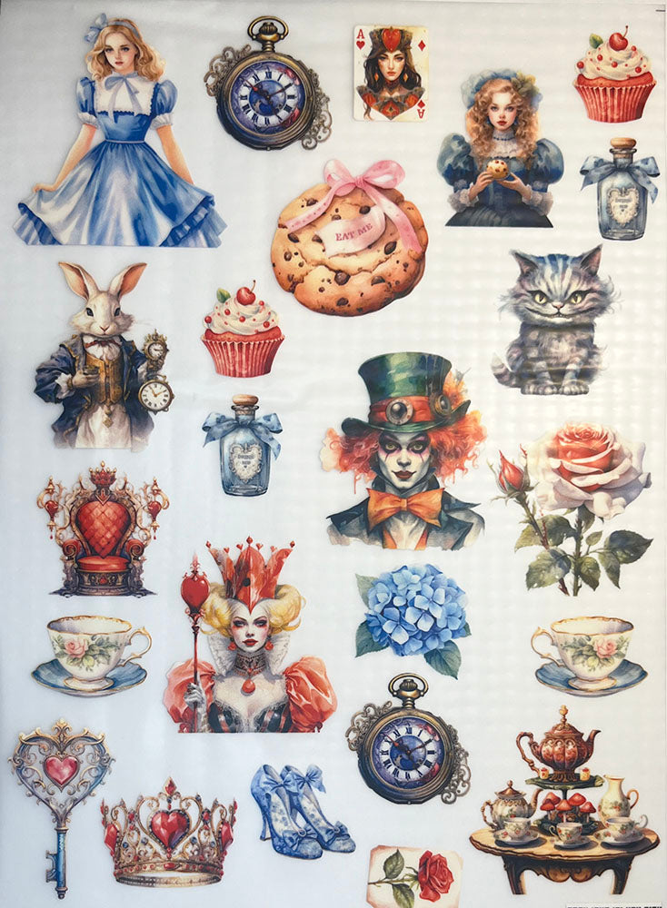 Transfer Multisuperficie DMR147