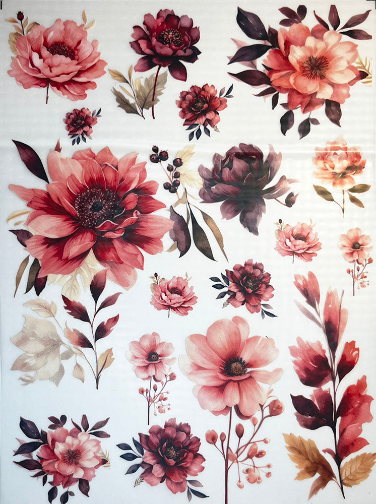 Transfer Multisuperficie DMR160