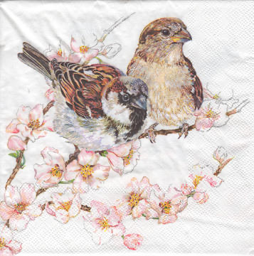 Servilleta para Decoupage - 1331 3895