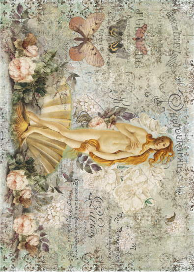 Lamina de Seda 50x70 - FLORENCE11