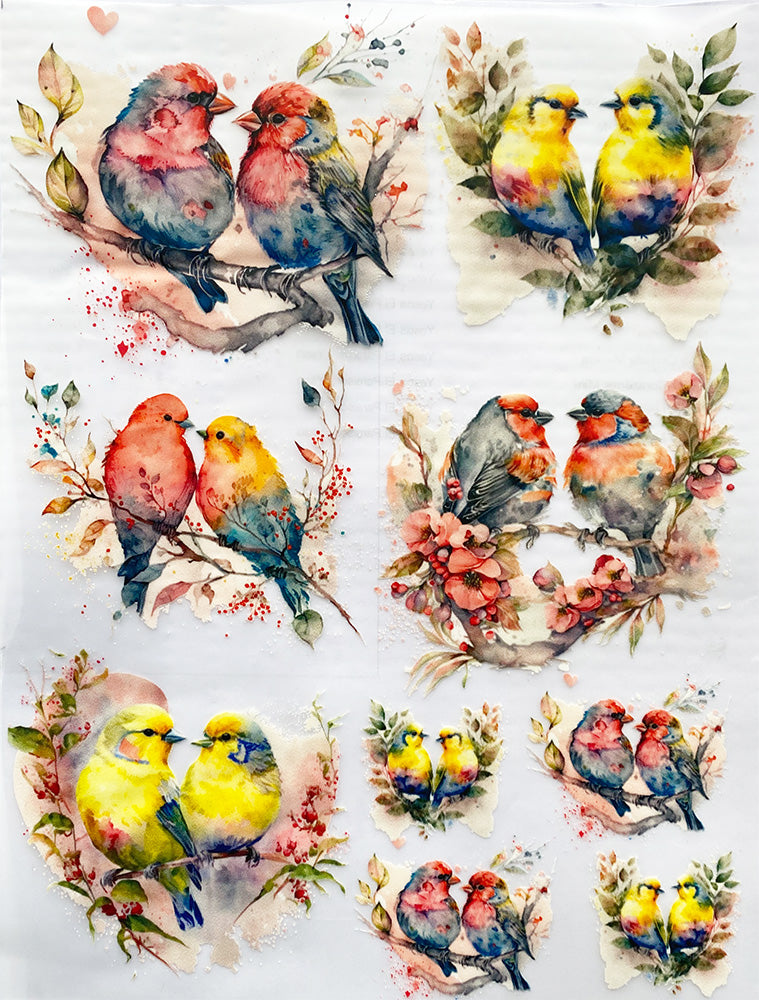 Transfer Multisuperficie DMR010