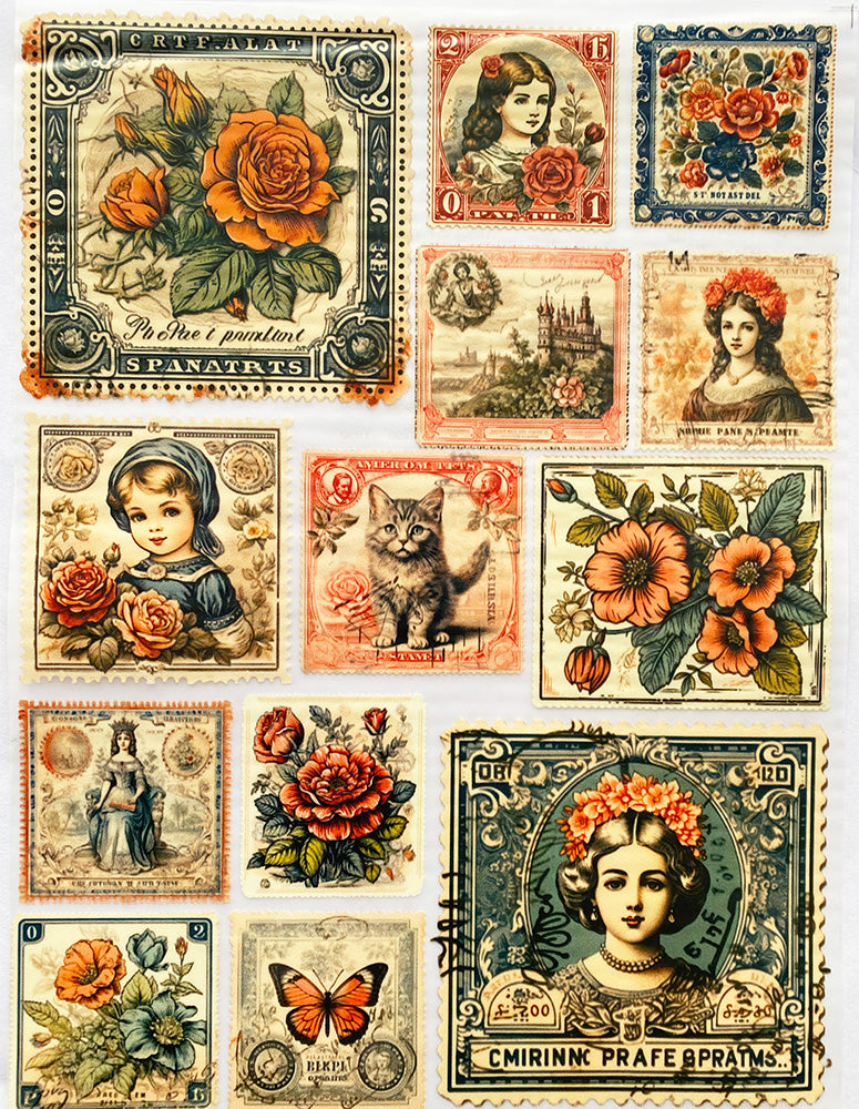 Transfer Multisuperficie DMR077