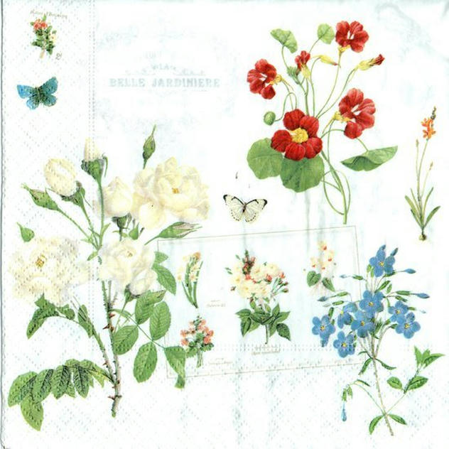 Servilleta para Decoupage - NATU