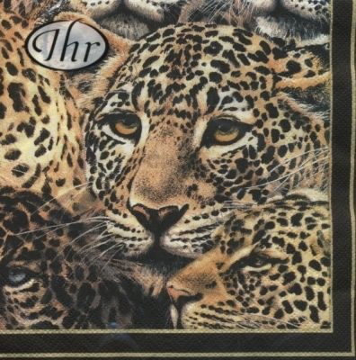 Servilleta de para Decoupage - 385807