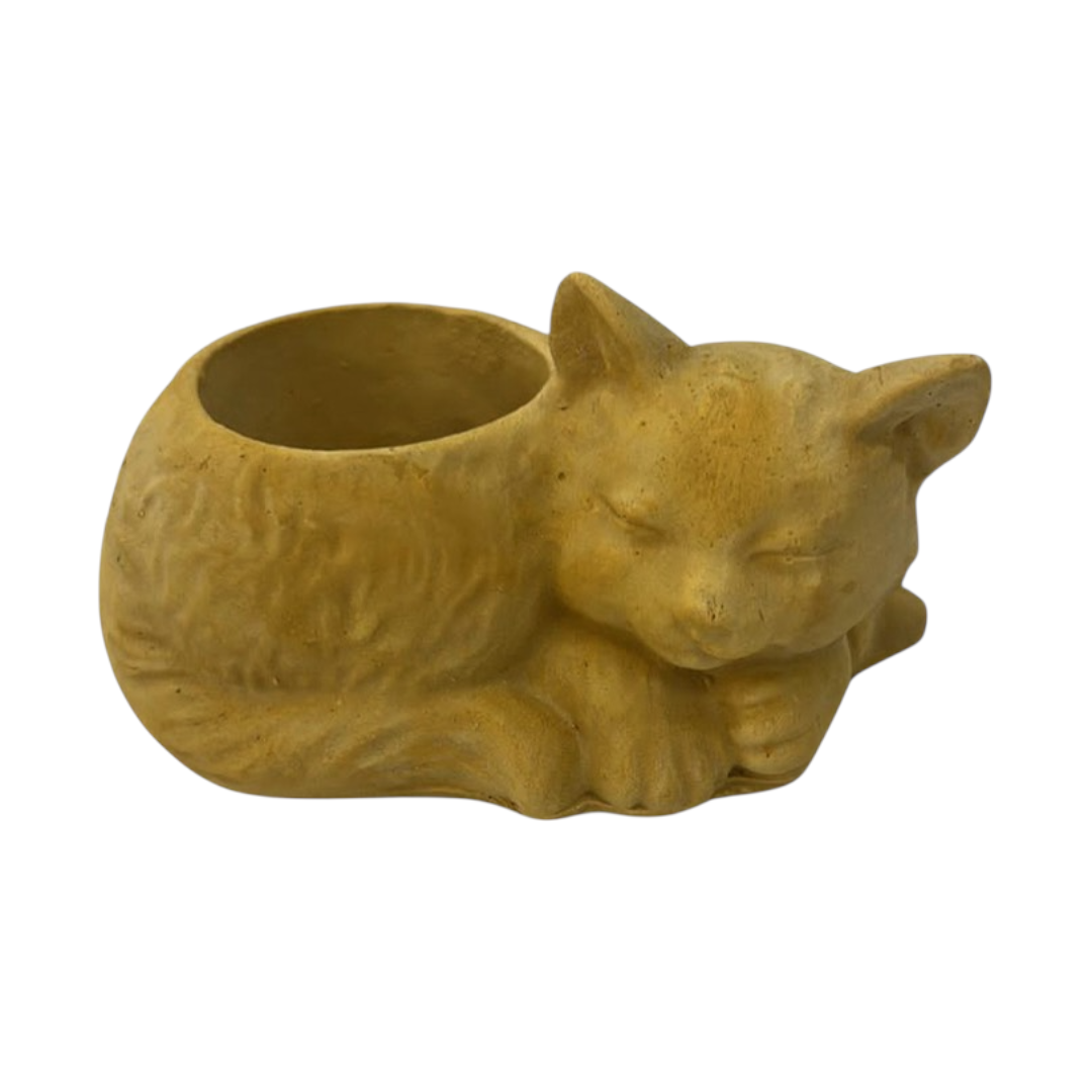 Gatito Maceta Peludo