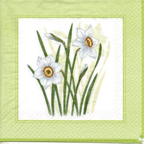 Servilleta para Decoupage - S163 (210813)