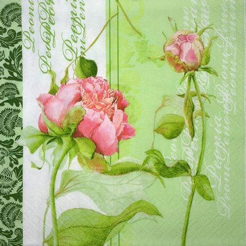 Servilleta para Decoupage - S173 (211004)
