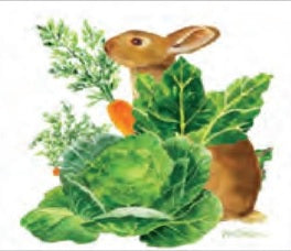 Servilleta para Decoupage - SERV121