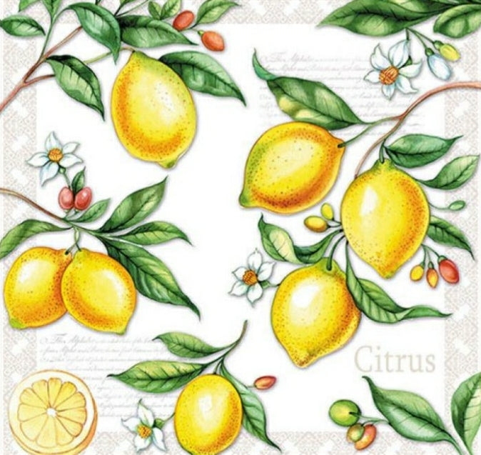 Servilleta para Decoupage - 1331 1520