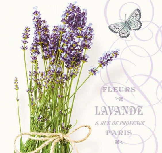 Servilleta para Decoupage - 11695 (1331-1695)