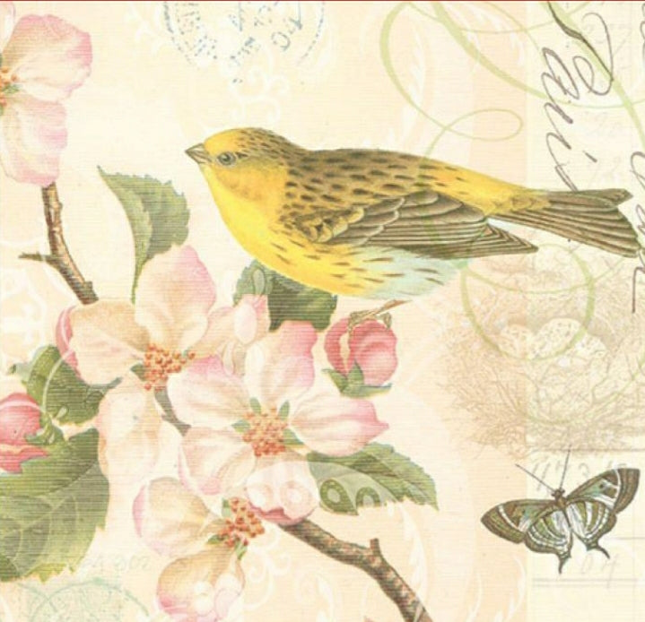 Servilleta para Decoupage 5890