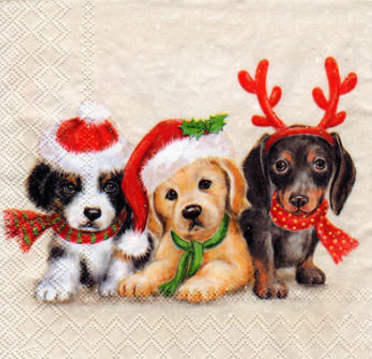 Servilleta para Decoupage - 3331-6855