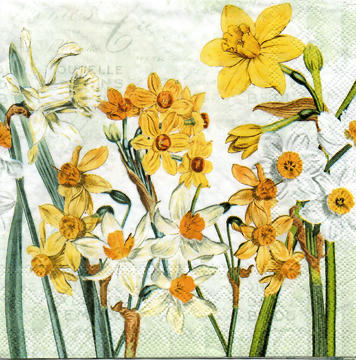 Servilleta para Decoupage - 1331 9570