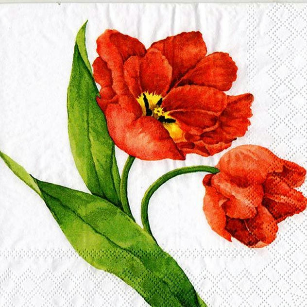 Servilleta para Decoupage - 1330 6950