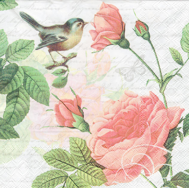 Servilleta para Decoupage - 1331 4980