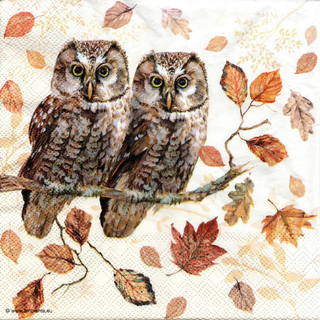 Servilleta para Decoupage - 1331 5460