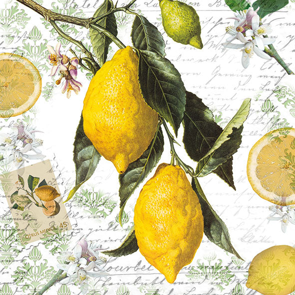 Servilleta para Decoupage - 1331 4990