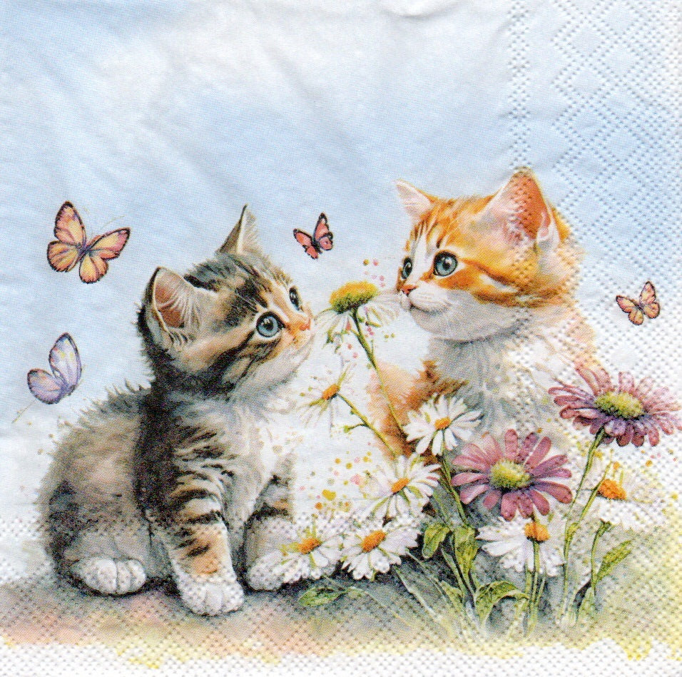 Servilleta para Decoupage - 1331 9355