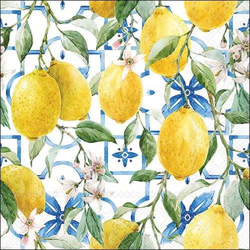 Servilleta para Decoupage - 1331 9660