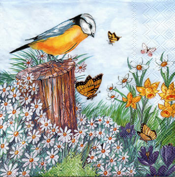 Servilleta para Decoupage - 1331 7010