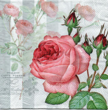 Servilleta para Decoupage - 1331 9565