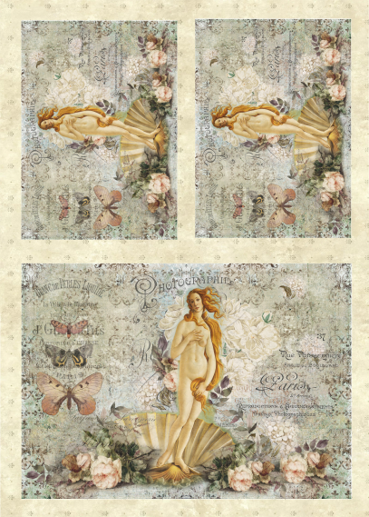 Lamina de Seda 50x70 - FLORENCE11D