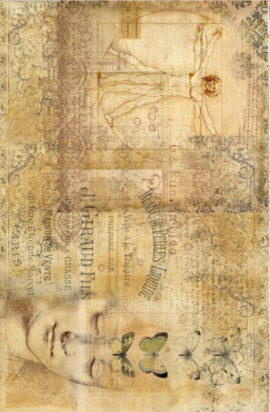 Lamina de Seda 50x70 - FLORENCE19