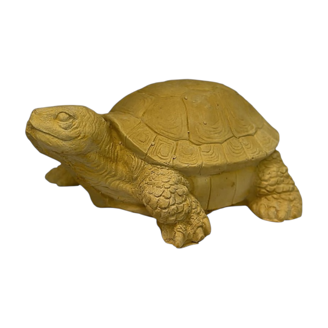 Tortuga Chica