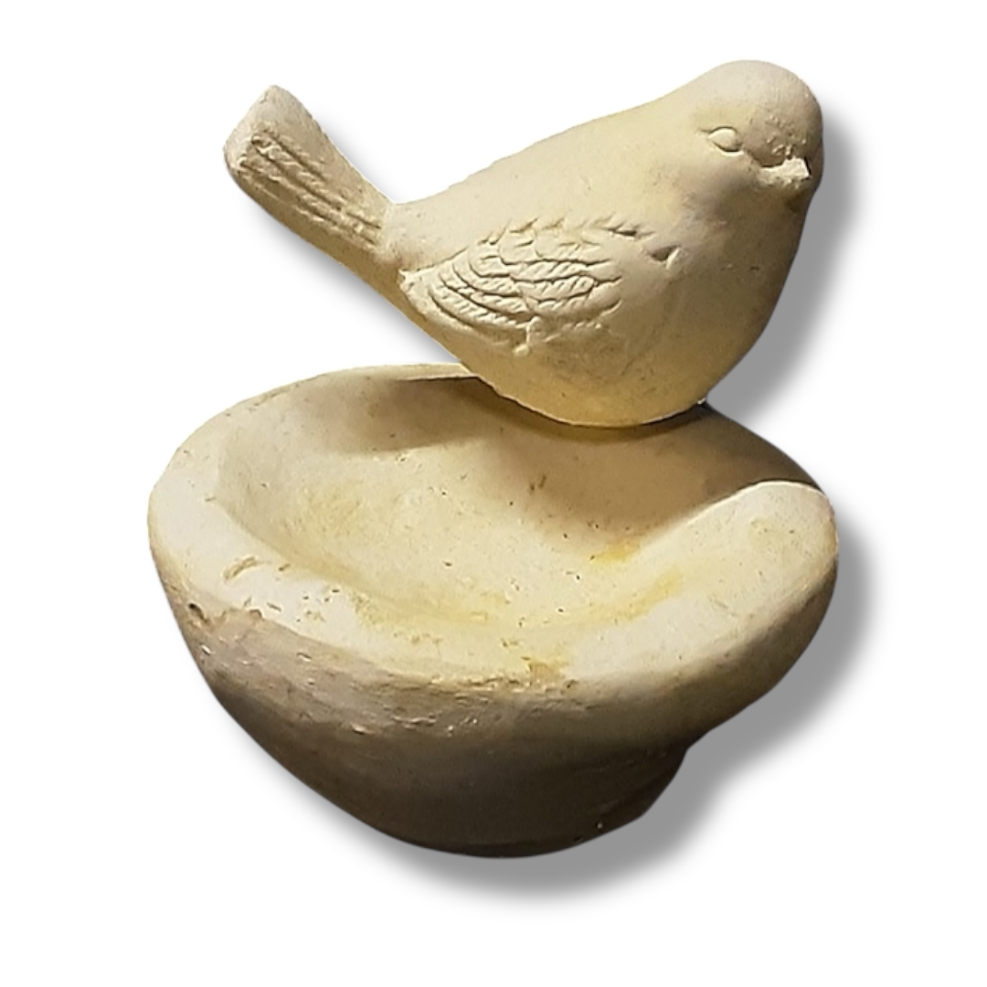 Pájaro Pileta