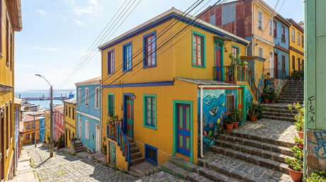 Esmalte al agua Mate Premium - OCRE